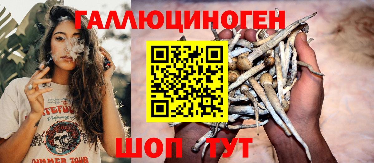 Псилоцибиновые грибы ЛСД Гудермес